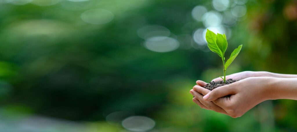 Trescal-News-Piantala-Fig2